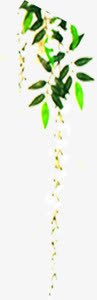 创意合成植物效果水彩png免抠素材_新图网 https://ixintu.com 创意 合成 植物 效果 水彩