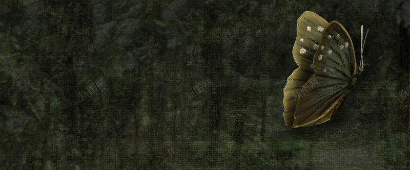 蝴蝶材质布料青色质感jpg设计背景_新图网 https://ixintu.com 蝴蝶 材质 布料 青色 质感 海报banner 纹理