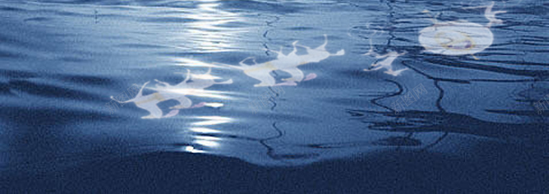 浪漫的南瓜马车之夜psd设计背景_新图网 https://ixintu.com 南瓜 夜晚 星星 浪漫 蓝色 马车 飞马 梦幻
