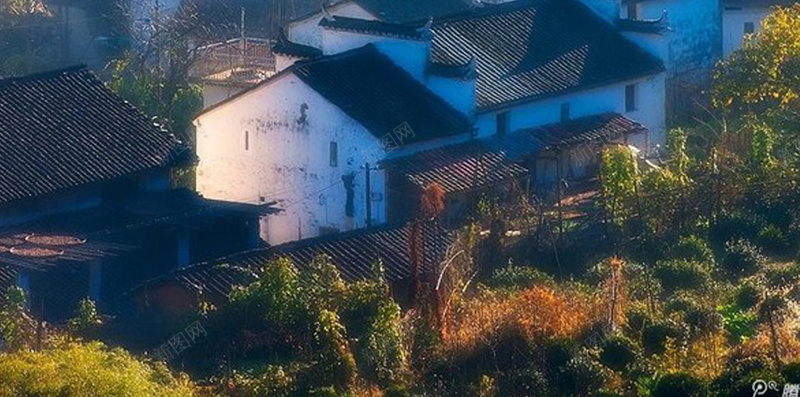 蓝色梦幻风景APP手机端H5背景jpg设计背景_新图网 https://ixintu.com 景色 树枝 梦幻 蓝色 风景 房屋 建筑 朦胧 烟雾缭绕 APP手机端 H5背景 风景蓝色 梦幻风景