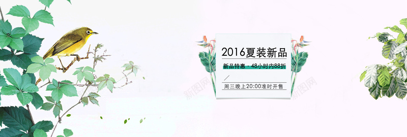 夏装新品psd设计背景_新图网 https://ixintu.com 女装banner 海报banner 夏装新品 小鸟 植物 每周三上新