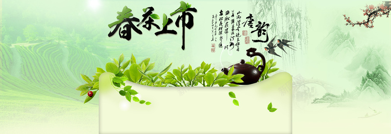 春茶上市广告背景banner背景