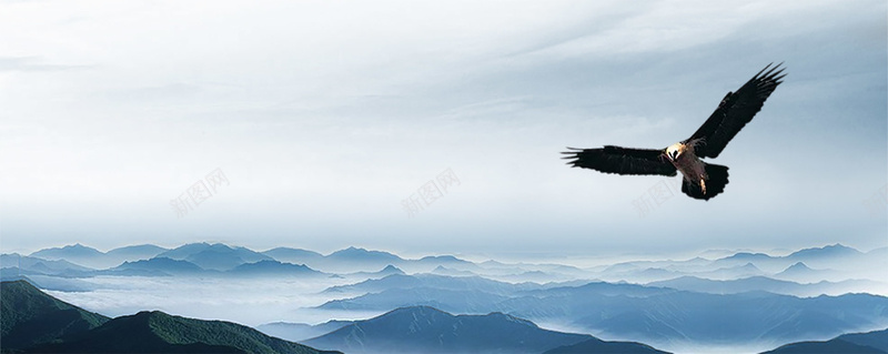 企业背景psd设计背景_新图网 https://ixintu.com 蓝色 山水 鹰 企业 商务 海报banner 科技 科幻