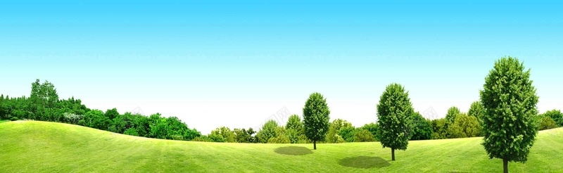 天猫海报背景jpg设计背景_新图网 https://ixintu.com 绿树 草地 企业 广告 蓝天 白云 海报banner 摄影 风景