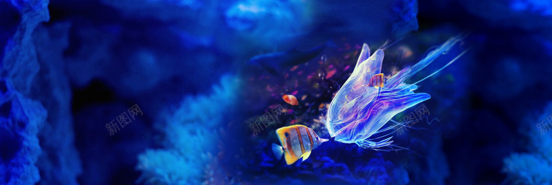 海底psd设计背景_新图网 https://ixintu.com 海底 海洋 蓝色 鱼 热带鱼 海报banner 摄影 风景