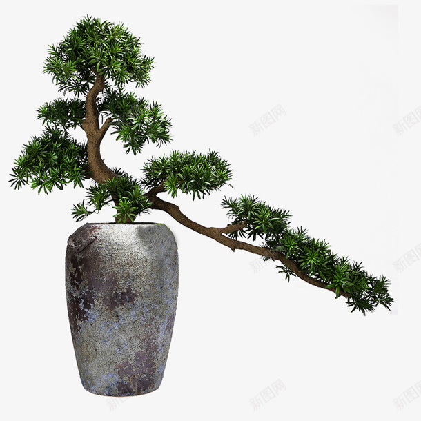 中式盆景树盆景景观png免抠素材_新图网 https://ixintu.com 中式 树 盆景 景观