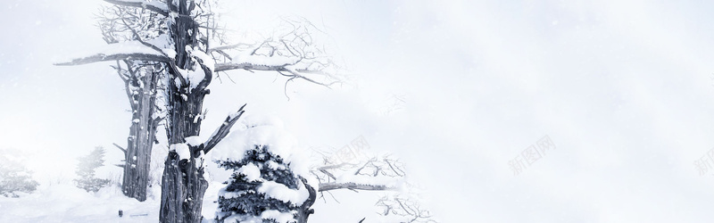 淘宝男装banner创意设计jpg设计背景_新图网 https://ixintu.com 雪花 树木 海报banner 摄影 风景
