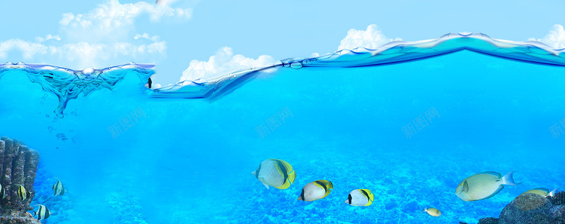 海底世界背景jpg设计背景_新图网 https://ixintu.com 广告banner 大气 广告 疯抢 高端 海洋 夏季保湿海洋护肤品ba 活动banner 淘宝天猫 淘宝 主题 专题 天猫 banner 淘宝banner 天猫banner 淘宝界面设计 源文件 活动 炫懂 唯美 banner源文件 PSD分层素材 设计 PSD 保湿 护肤品 夏季 淘宝广告bann