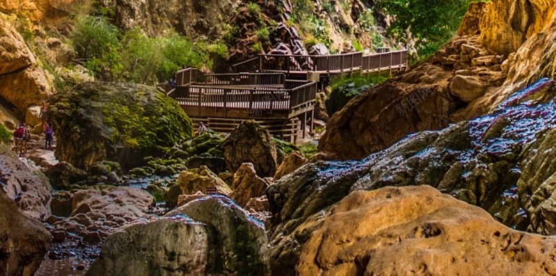 唯美阳光H5背景jpg设计背景_新图网 https://ixintu.com 阳光 彩色 唯美 摄影 文艺 H5 h5 小清新 简约