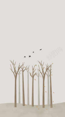 原创插画灰色系霜降树林鸟24节节气背景