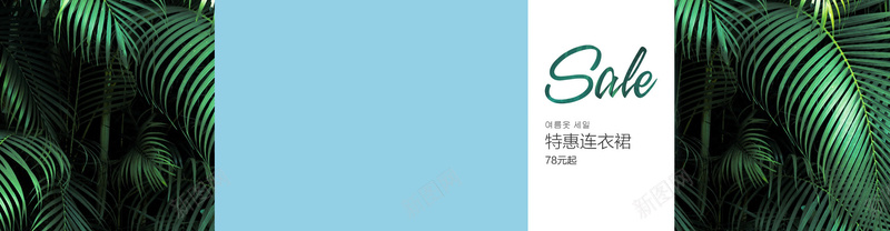 女装海报jpg设计背景_新图网 https://ixintu.com 海报banner 连衣裙 夏季 女装 植物