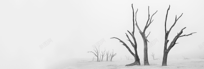 意境背景jpg设计背景_新图网 https://ixintu.com 意境 灰色 枯枝 海报banner 摄影 风景
