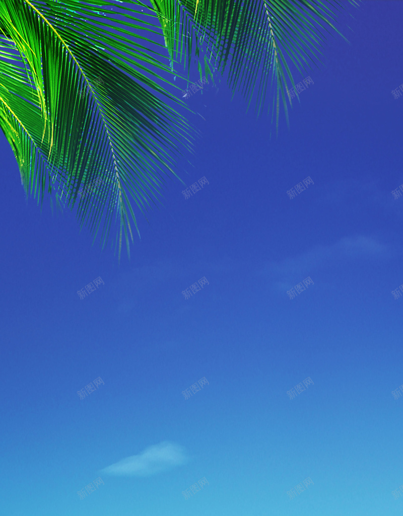 呼吸新鲜空气背景素材jpg设计背景_新图网 https://ixintu.com d 白领 白云 大海 蓝色 呼吸新鲜空气 psd 蓝天 男人 椰树 拥抱 背景