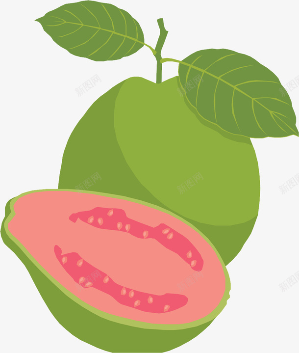 番石榴png水果素材png免抠素材_新图网 https://ixintu.com 番石榴 水果 水果png 卡通水果