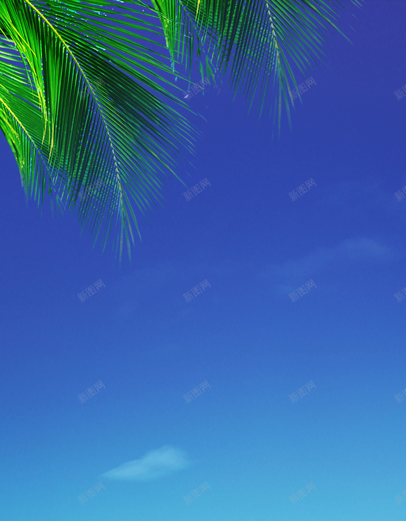 呼吸新鲜空气海报背景素材psd设计背景_新图网 https://ixintu.com 大海 旅游 男人 白领 蓝天 呼吸新鲜空气模板下载 白云 椰树 自然 拥抱