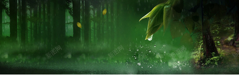 茶文化背景bannerjpg设计背景_新图网 https://ixintu.com 绿色背景 摄影 森林 水滴 茶 茶文化 全屏背景 banner