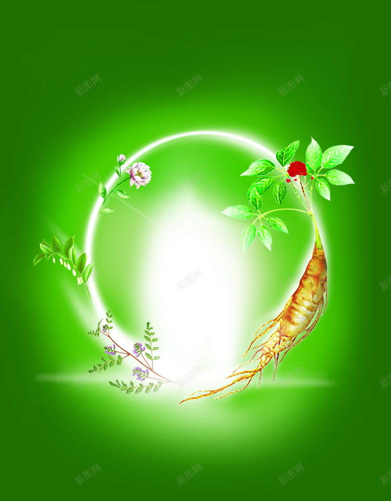 绿色自然化妆品海报背景jpg设计背景_新图网 https://ixintu.com 绿色 自然 化妆品 海报 背景 植物 人参