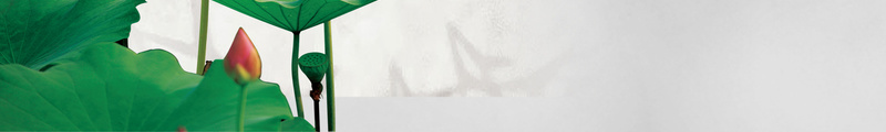 灰色背景图psd设计背景_新图网 https://ixintu.com 荷花 白色 中国风 廉洁意境