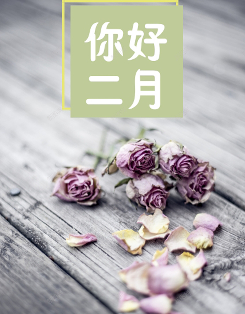 2018粉色清新二月你好海报jpg设计背景_新图网 https://ixintu.com 二月你好 春季上新 春季海报 干花 木板 二月海报 新品上市 花卉 2018 摄影 开心