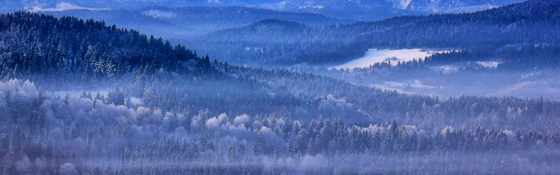 摄影背景jpg设计背景_新图网 https://ixintu.com 摄影背景 天空 植物 雪景 海报banner 摄影 风景