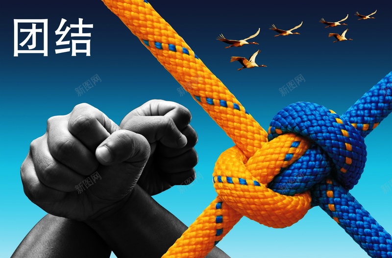 团结的力量psd设计背景_新图网 https://ixintu.com 力量 合作 商务 团结 团结合作海报 团结的力量 团结的力量背景图片免费下载力量 海报 绳子 背景