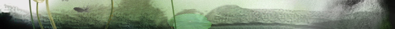 音乐古筝招生海报背景素材psd设计背景_新图网 https://ixintu.com 古风 海报 背景 水墨 音乐 古筝 招生 招生海报 招生素材