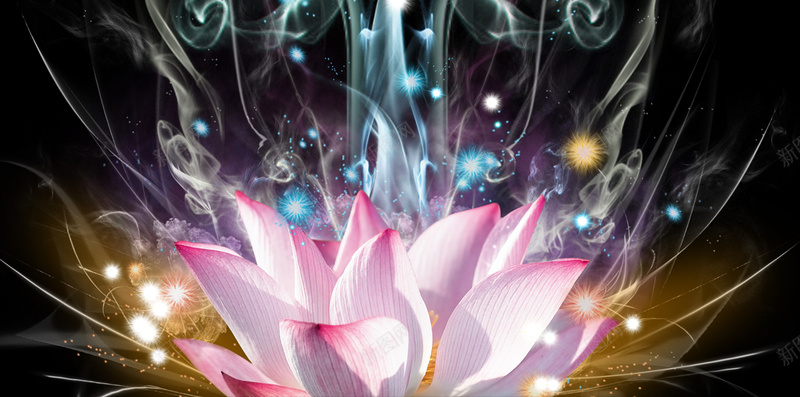 粉色花卉H5背景jpg设计背景_新图网 https://ixintu.com 炫彩 炫酷 科技 粉色 花卉 H5背景 黑色 H5 h5 科技感 科技风 高科技 科幻 商务