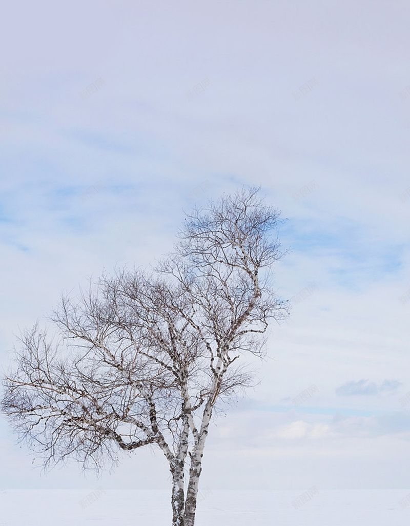大雪银树H5背景jpg设计背景_新图网 https://ixintu.com 大雪 开心 白色 银树 雪景 文艺 小清新 简约