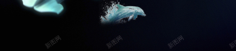 白鲸宣传海报背景jpg设计背景_新图网 https://ixintu.com 动物 宣传 海报 海洋 背景 白鲸 生物 可爱