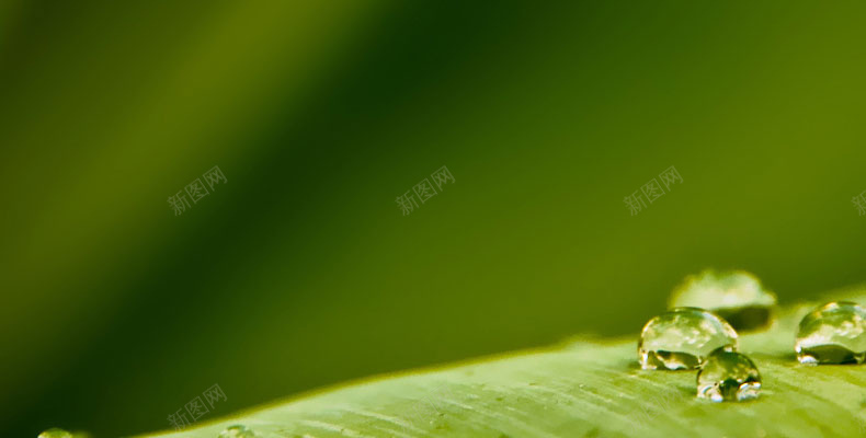 水滴jpg设计背景_新图网 https://ixintu.com 详情页海报 小清晰 水滴 简约 绿色 文艺 小清新
