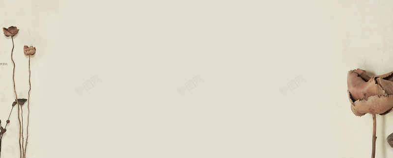 森女系服装海报背景jpg设计背景_新图网 https://ixintu.com 海报banner 干枯树枝 黄色背景 小清新 文艺 森女系服装海报背景 简约