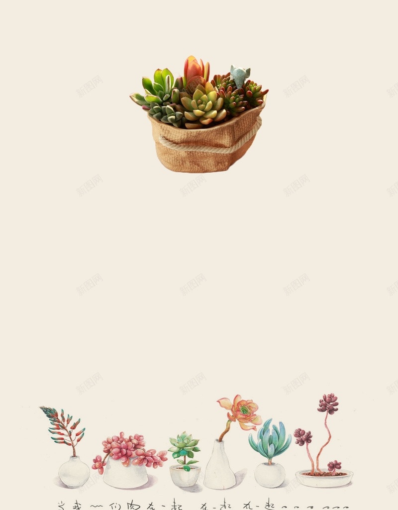 文艺清新植物背景psd设计背景_新图网 https://ixintu.com 植物 多肉 文艺 清新 素雅 白色 小清新 简约