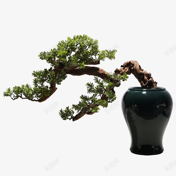中式绿树盆景景观png免抠素材_新图网 https://ixintu.com 中式 树 盆景 景