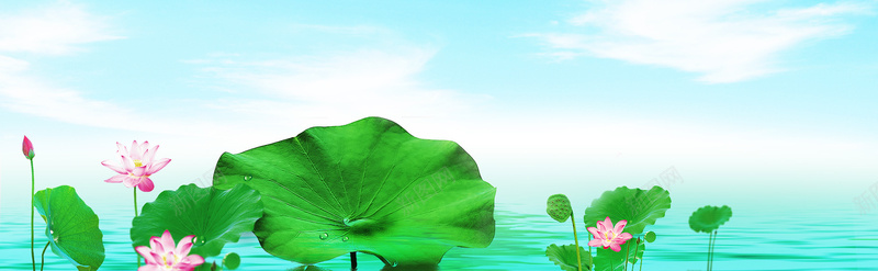 护肤品荷花清新背景bannerpsd设计背景_新图网 https://ixintu.com 护肤品 荷花 清新 背景 banner 海报banner 文艺 小清新 简约