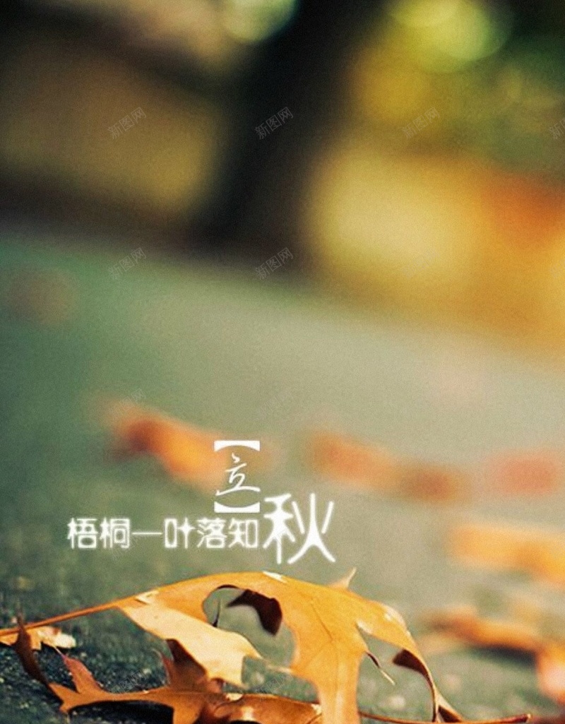 公路上的枫叶H5背景jpg设计背景_新图网 https://ixintu.com 文字控 立秋 节气 秋天 秋季 H5背景 公路 枫叶 H5 h5 文艺 小清新 简约