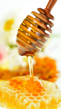 蜂蜜美食大气H5背景素材jpg上传成功背景