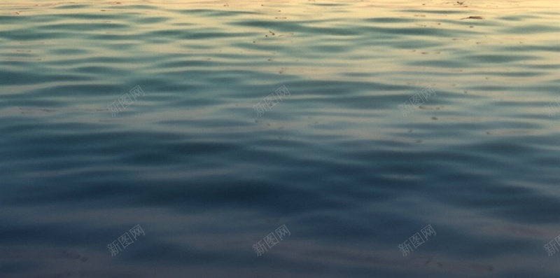 大海海鸥鸟海水风景h5背景jpg设计背景_新图网 https://ixintu.com 大海 海鸥 鸟 海水 风景 H5 h5 摄影