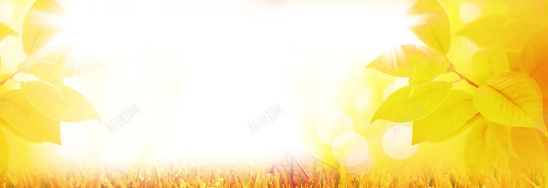 秋季上市淘宝banner广告psd设计背景_新图网 https://ixintu.com 秋装 素材 金秋 标签 店铺 活动 海报banner 摄影 风景