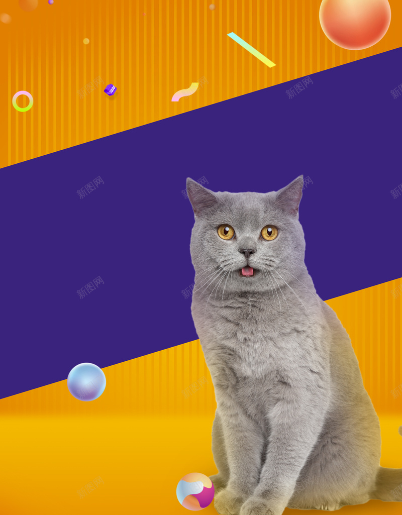 不玩猫腻秋季上新促销海报背景素材psd设计背景_新图网 https://ixintu.com 新品上市宣传 动物 服装 渐变 猫 新款 商场促销 超市促销 夏季清仓 全场5折 折扣