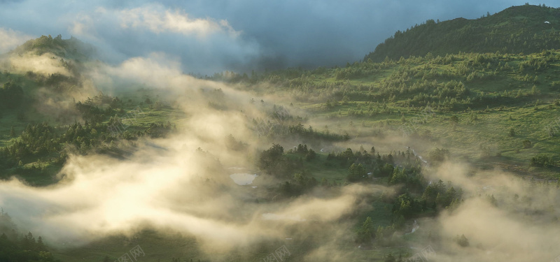 树林雾气背景图jpg设计背景_新图网 https://ixintu.com 海报banner 山谷 树林 雾气 黄昏