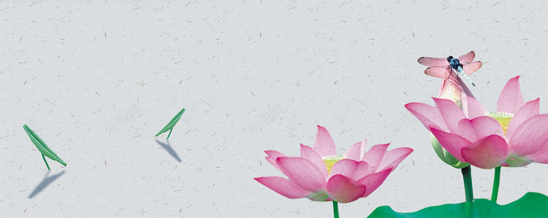 简约荷花背景psd设计背景_新图网 https://ixintu.com 简约 荷花 蜻蜓 荷花叶 茶 茶道 中国风 古风 海报banner
