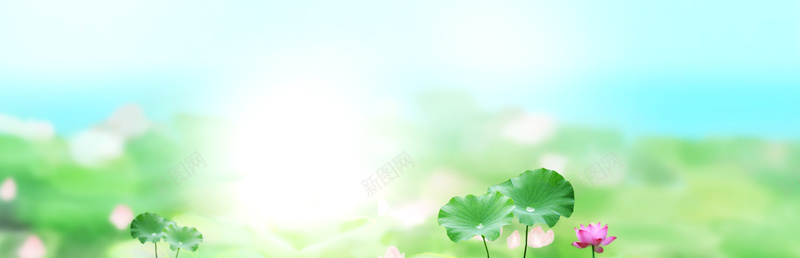 淘宝护肤品相宜本草荷花清新背景bannerpsd设计背景_新图网 https://ixintu.com anner 护肤品 清新 背景 荷花 淘宝 相宜本草 banner 海报banner 文艺 小清新 简约