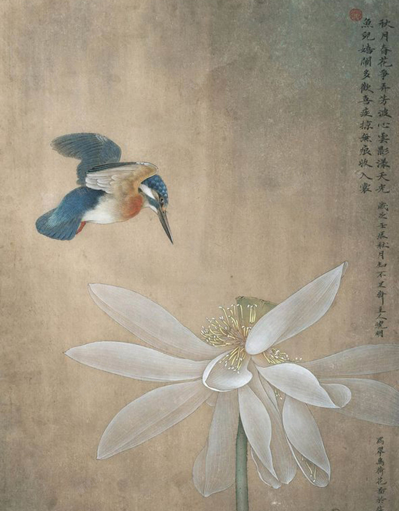 国画荷花飞鸟海报背景素材jpg设计背景_新图网 https://ixintu.com 飞鸟 国画 荷花 海报背景 海报素材 荷花素材 国画背景 中国风