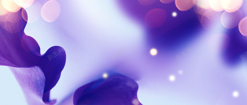 梦幻紫色背景psd设计背景_新图网 https://ixintu.com 唯美 紫色 色彩 首饰 光 珠宝 钻石 宝石 海报banner 浪漫 梦幻