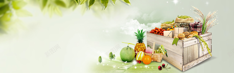淘宝绿色水果banner背景jpg设计背景_新图网 https://ixintu.com 水果 环保 生态 自然 菠萝 哈密瓜 淡绿色 banner背景 海报banner 文艺 小清新 简约