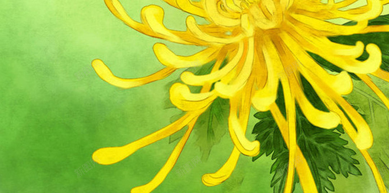 二十四节气秋分菊花H5背景jpg设计背景_新图网 https://ixintu.com 二十四节气 24节气 绿色背景 秋分 菊花 H5背景 秋季 秋天
