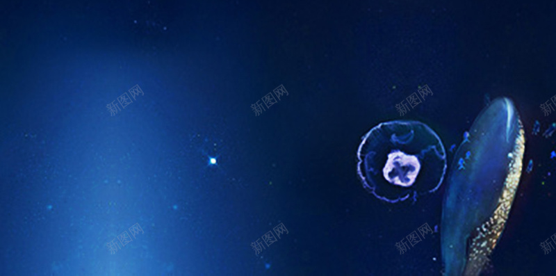 海豚水母深海H5背景图jpg设计背景_新图网 https://ixintu.com 深海 海豚 水母 深海背景 深蓝 H5 背景图 商务