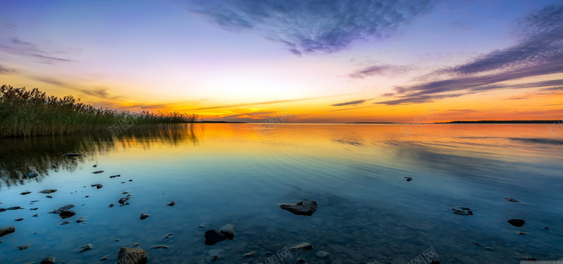 柔美风景jpg设计背景_新图网 https://ixintu.com 风景 风光 水塘 芦苇荡 海报banner 摄影