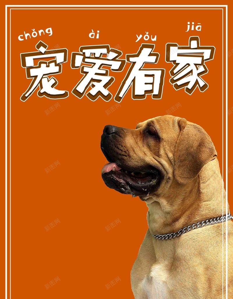 宠爱有家宠物店宣传psd设计背景_新图网 https://ixintu.com 宠物店 狗粮 简约 萌宠 狗 宠爱有家 美容 宣传