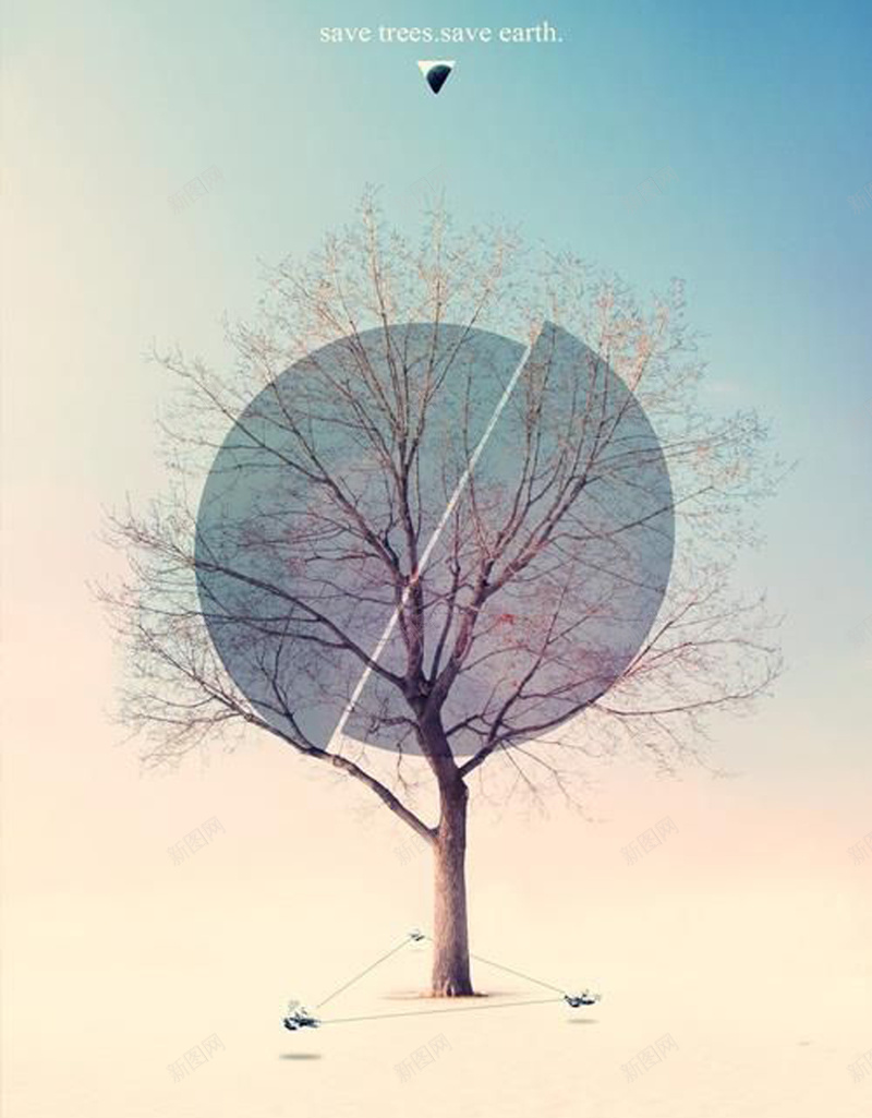 简约树背景jpg设计背景_新图网 https://ixintu.com 树木 清新 秋天 简约 黄昏 夕阳 文艺 小清新